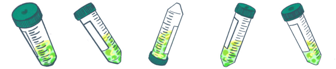 Conical Centrifuge Tube PNG Clipart for Laboratory Science and Research Illustration