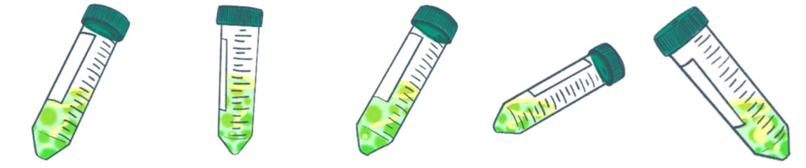Conical Centrifuge Tube PNG Clipart for Laboratory Science and Research Illustration