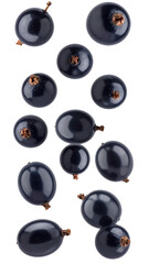 Fresh blackcurrant berries falling and floating on a transparent background, creating a dynamic and appetizing visual