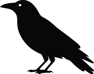 Obraz premium Black bird silhouette standing white background