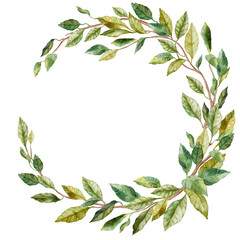 Round natural frame of branch with lush green leaves. Watercolor illustration of leafy circular wreath in sickle shape. For flower shop, printing on postcards, greeting cards, business cards, etc © Лариса Хамукова