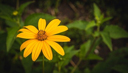 A vibrant yellow flower with detailed petals stands out against a backdrop of blurred green foliage.