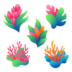 Tropical plants and coral illustration isolated on white background