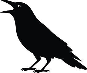 Obraz premium Black bird open beak white eye silhouette