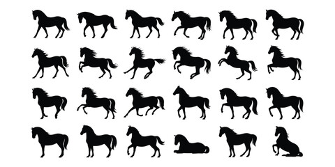 Grid of 24 black horse silhouettes in varied poses—standing, walking, trotting, galloping, rearing—illustrating equine motion and anatomy