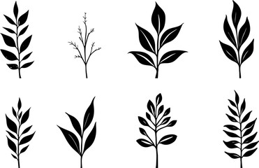 Fototapeta premium Hand-Drawn Black Leaf Silhouettes