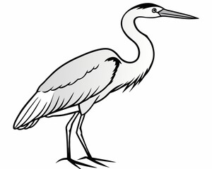 Obraz premium Detailed line drawing of a heron standing on one leg isolated on white background