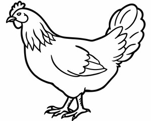 Obraz premium Simple line drawing of a hen standing proudly isolated on white background