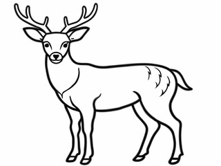 Obraz premium Elegant male deer with antlers standing proudly in a detailed outline illustration isolated on white background