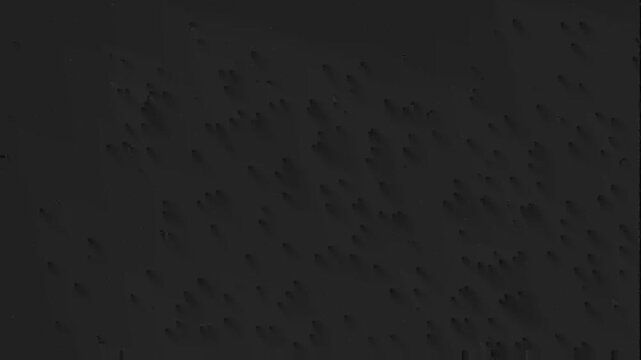 Abstract dark textured background with subtle light patterns.