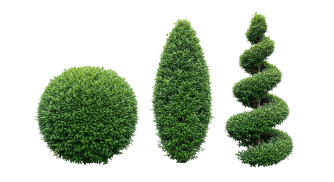 Topiary Bushes in Different Shapes, transparent background, cutout PNG
