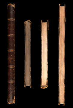 Side view of Spine and pages of an ancient Botanical book published in 1799, France Pierre-Joseph Redoute, public domain