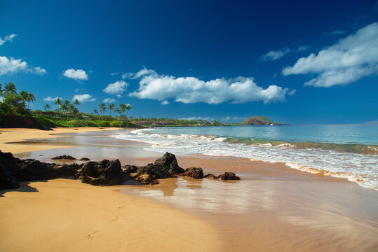 Pristine tropical beach with lush greenery and clear blue skies on a sunny day. Poolena beach, Chang?s beach, Wailea, Maui, Hawaii