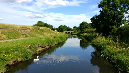 Obraz premium A serene canal scene showcasing a tranquil waterway, lush greenery, and a lone swan peacefully gliding across the calm surface.