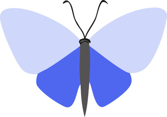 Two-Tone Blue Butterfly