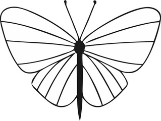 Thin-Winged Butterfly Outline