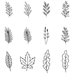 Branches & Leaves SVG Bundle