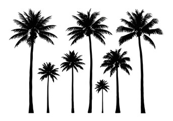 Vector art of collection of palm tree silhouettes, representing tropical destinations and summer vacation vibes