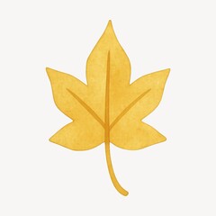 Fototapeta premium Yellow maple leaf illustration.