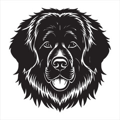 A Majestic Portrait of a Newfoundland, a Gentle Giant with an Immense and Powerful Stature, a Loyal and Calm Family Companion