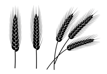 Black Wheat Ears Grain Stalks isolated Vector Graphic Elements Collection