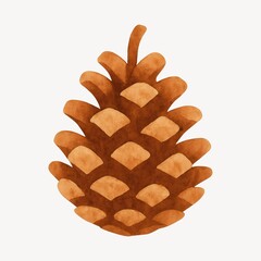 Watercolor pine cone illustration.