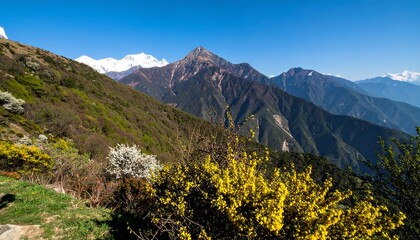 A vast mountain range stretches out beneath a vibrant blue sky, dotted with flowering plants and snow-capped peaks.
