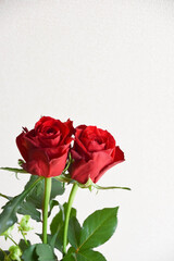 赤い薔薇とエクレール