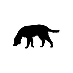vector  isolated black silhouette of a dog