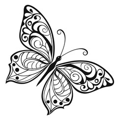 Elegant black and white ornamental butterfly design with intricate swirling patterns