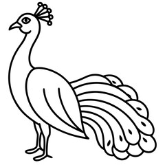 Stylized line art peacock with flowing tail feathers