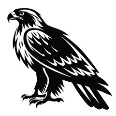 Obraz premium Striking Black and White Eagle Illustration, Majestic and Bold Design Artwork