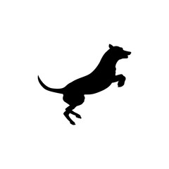 vector  isolated black silhouette of a dog