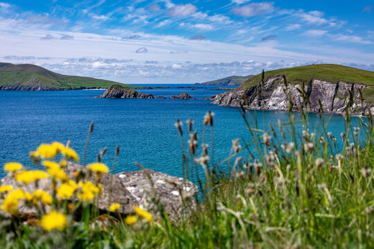 atlantic ocean, shore islands, dunmore head with flowers