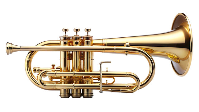 Shiny brass cornet musical instrument on a black background