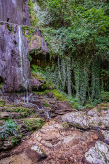 Over millions of years, the Orfento River (in the municipality of Caramanico Terme) has carved out a narrow gorge now covered by dense riparian vegetation featuring willows, ferns, and mosses.