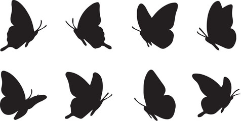 Butterfly Set Collection in Different Positions