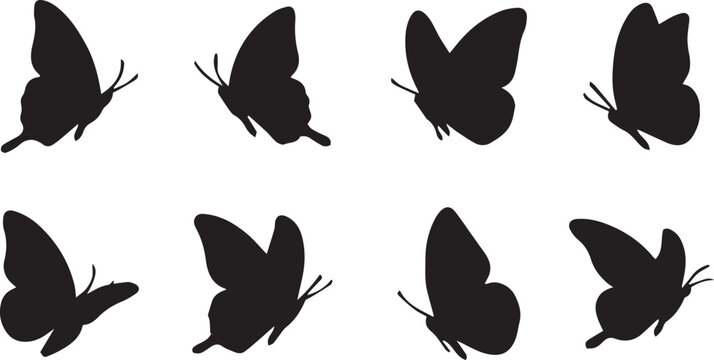 Butterfly Set Collection in Different Positions