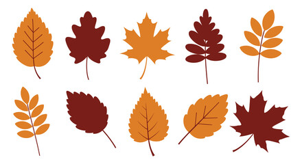 A collection of colorful autumn leaves in various shapes and sizes