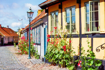 Nostalgy memory through blooming walls, traditional houses in soft light framed by hollyhocks and...