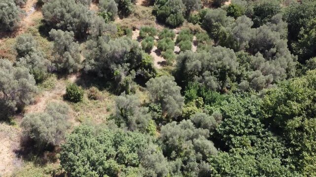 Drone flight over the Amari Valley in Crete, from the ground to the horizon on a beautiful summer day