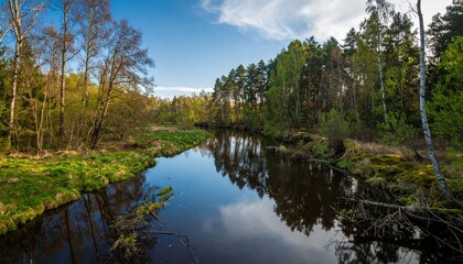 Obraz premium Serene River Reflecting Trees and Sky in a Lush Green Forest Landscape.