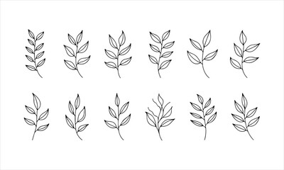 Leaf illustrations showcasing various plant designs on a minimalist white background created for artistic inspiration