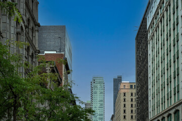 Cityscape of Old Montreal, Quebec, with modern and older buildings and vegetation
