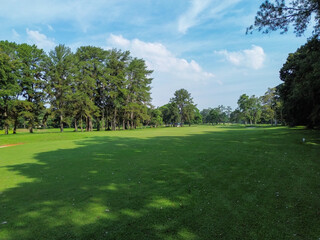 Beautiful wide grass field surrounded by trees in a sunny park with clear blue sky