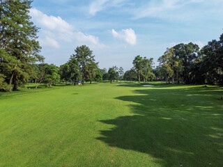 Beautiful wide grass field surrounded by trees in a sunny park with clear blue sky