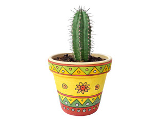 Tall green cactus in a colorful hand painted terracotta pot