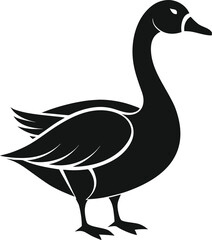Elegant goose silhouette on white background