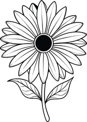 Outline illustration of a transvaal daisy flower on a white background