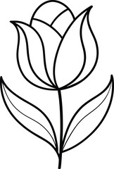 Elegant tulip flower outline illustration on white background
